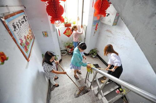 小區清潔不及時 不到位 業委會可監督物業整改清潔工作