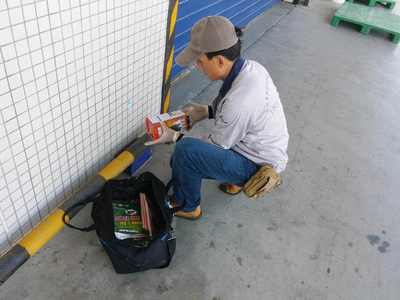 食品廠老鼠防治方案，早用早省心 清潔服務助您無憂經營